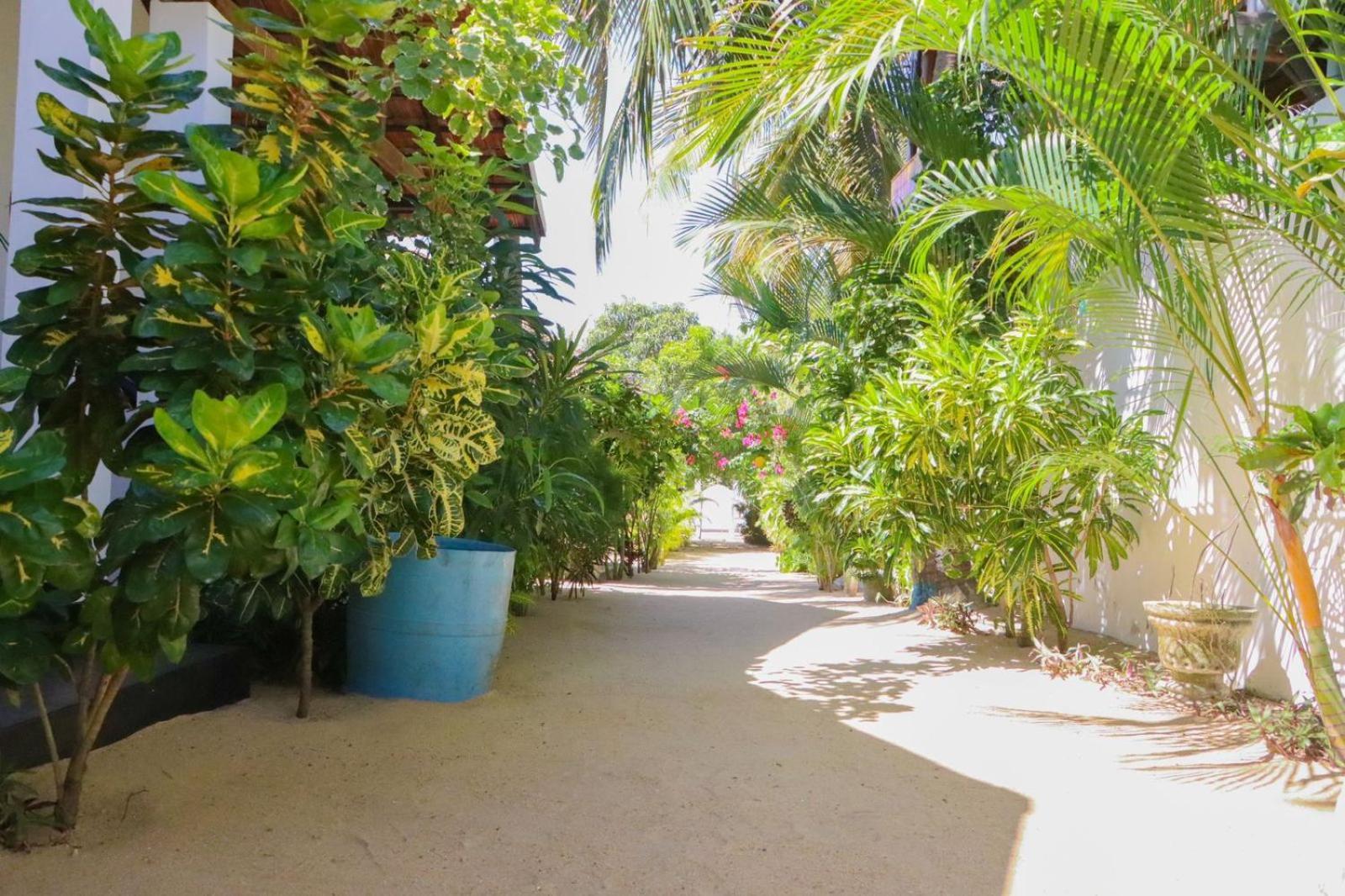 Lucky Bay Hotel Arugam Bay Exterior photo